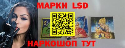 индика Кандалакша