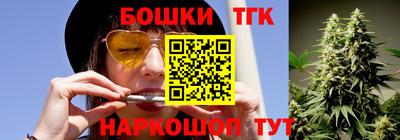 индика Кандалакша
