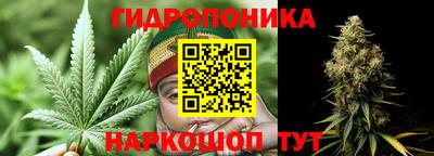 сатива Канаш