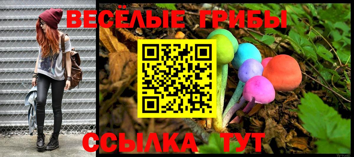 Галлюциногенные грибы Psilocybe  Вход с VPN  Кызыл 