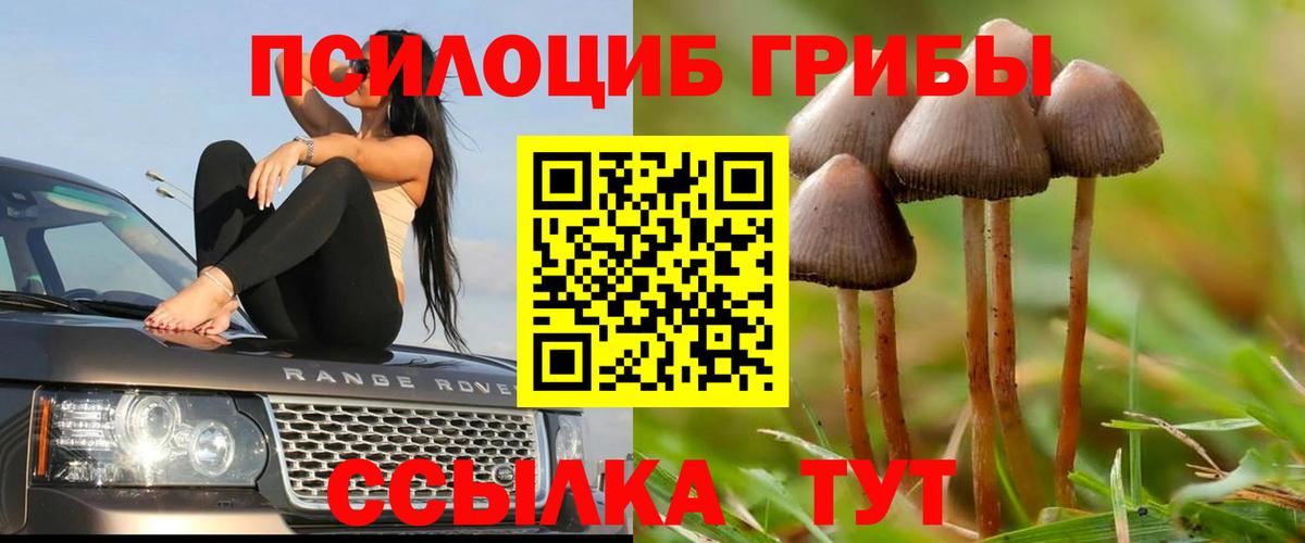 Псилоцибиновые грибы ЛСД Кызыл