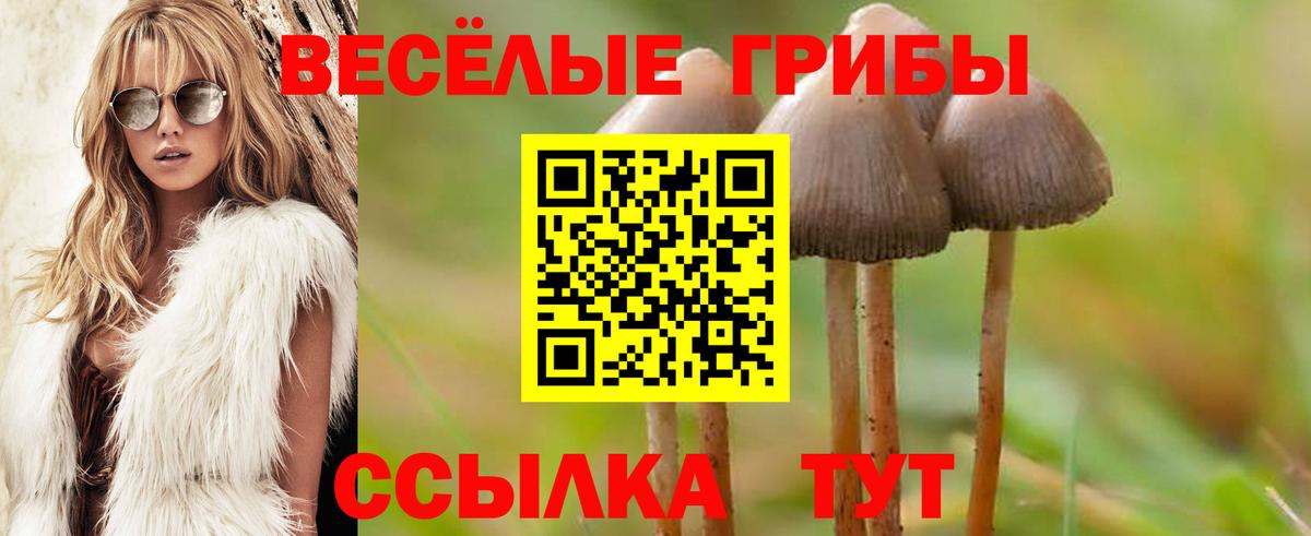 Меф МЯУ МЯУ кристаллы  Гашиш  Конопля  ГАШ  Вход с VPN  Кызыл  Купить закладку 